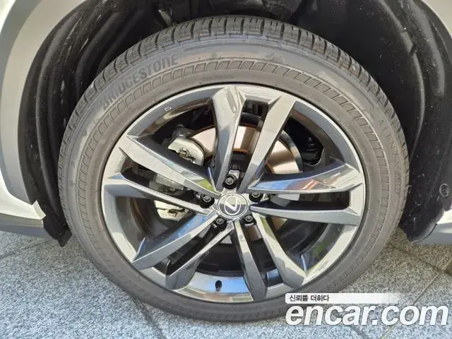 Lexus NX350h 2025 — Photo 4/20