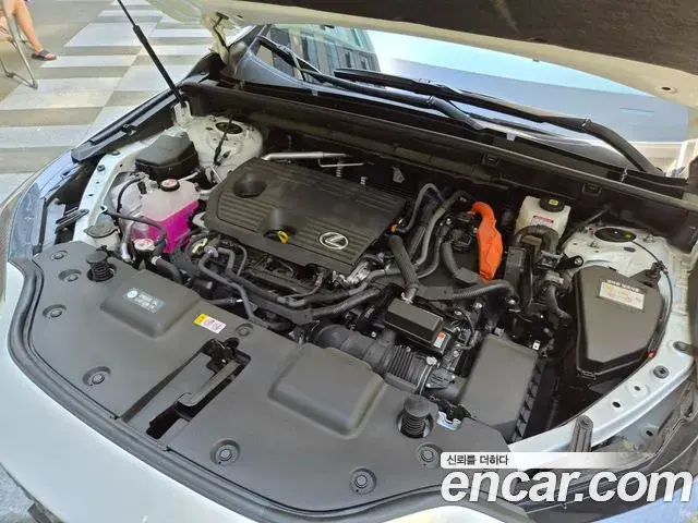 Lexus NX350h 2025 — Photo 5/20