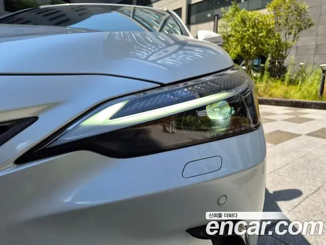 Lexus NX350h 2025 — Photo 14/20