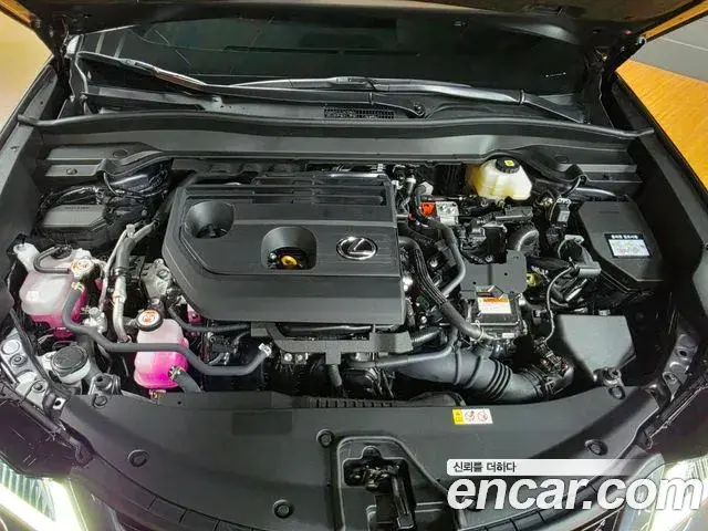 Lexus UX300h 2026 — Photo 8/18