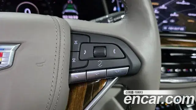 Cadillac Escalade 2021 — ფოტო 14/42