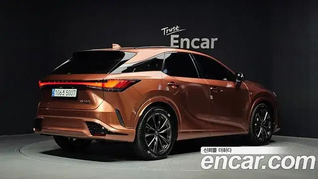 Lexus RX500h 2023 — Şəkil 19/20
