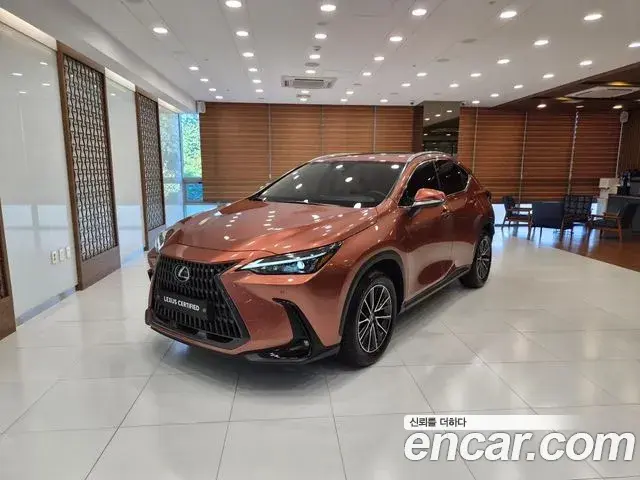 Lexus NX450h+ 2025 — ფოტო 4/15