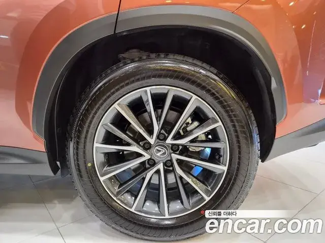 Lexus NX450h+ 2025 — ფოტო 5/15
