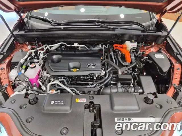 Lexus NX450h+ 2025 — ფოტო 9/15