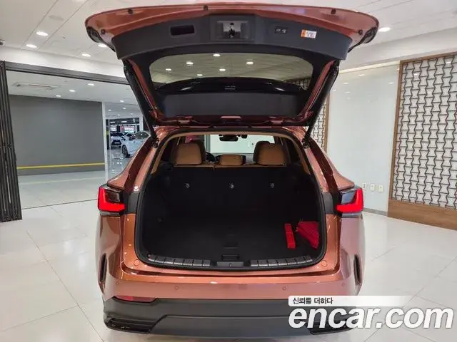 Lexus NX450h+ 2025 — ფოტო 13/15