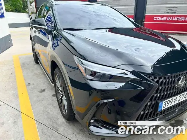 Lexus NX350h 2025 — Фото 10/11
