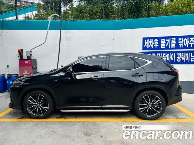 Lexus NX350h 2025 — Фото 11/11