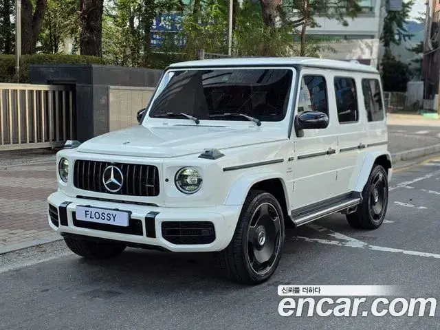Mercedes-Benz G-Class 2021 — Фото 9/20