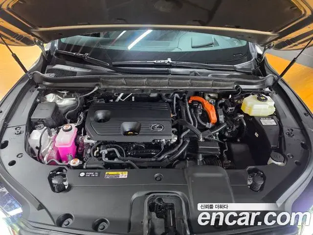 Lexus RX350h 2025 — Photo 7/18