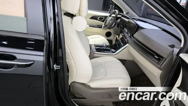 Kia Carnival 2021 — Фото 11/20