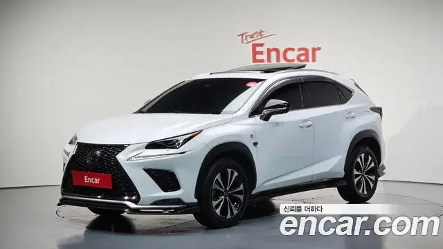 Lexus NX300 2020 — ფოტო 4/20