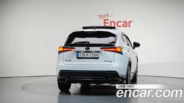 Lexus NX300 2020 — ფოტო 13/20