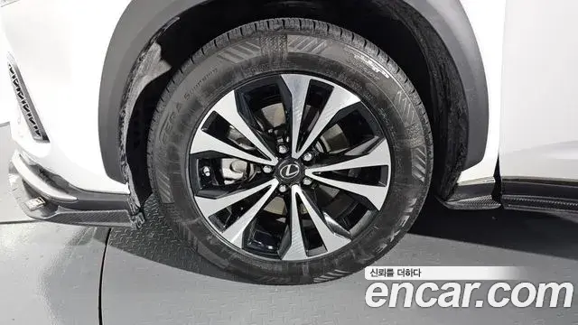 Lexus NX300 2020 — ფოტო 10/20