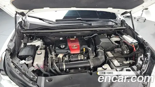 Lexus NX300 2020 — ფოტო 7/20