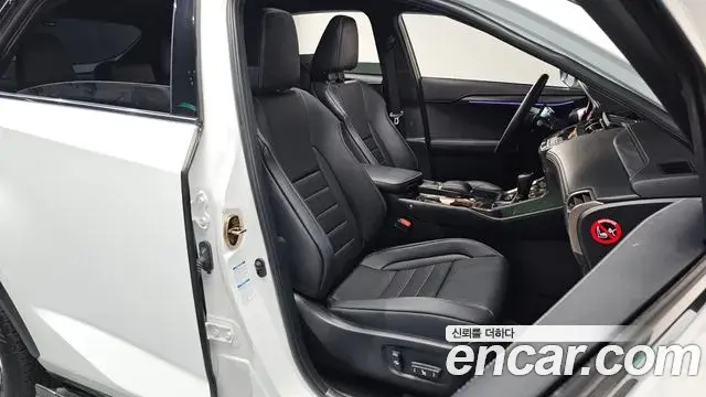 Lexus NX300 2020 — ფოტო 2/20