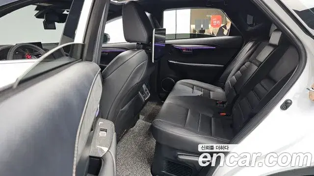 Lexus NX300 2020 — ფოტო 15/20