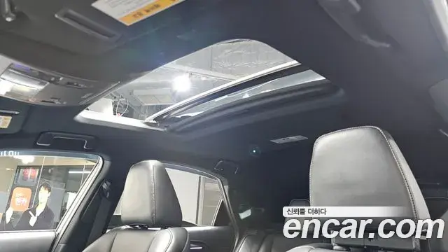 Lexus NX300 2020 — ფოტო 8/20