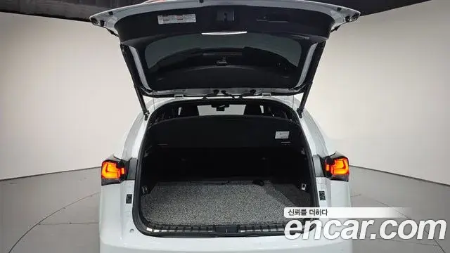 Lexus NX300 2020 — ფოტო 1/20