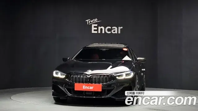 BMW 8 Series 2019 — ფოტო 11/20