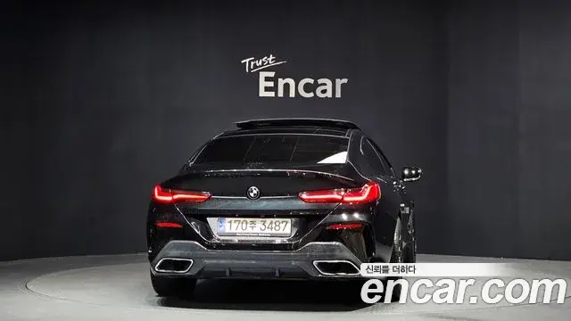 BMW 8 Series 2019 — ფოტო 13/20