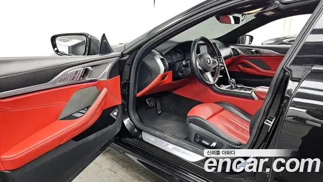 BMW 8 Series 2019 — ფოტო 19/20