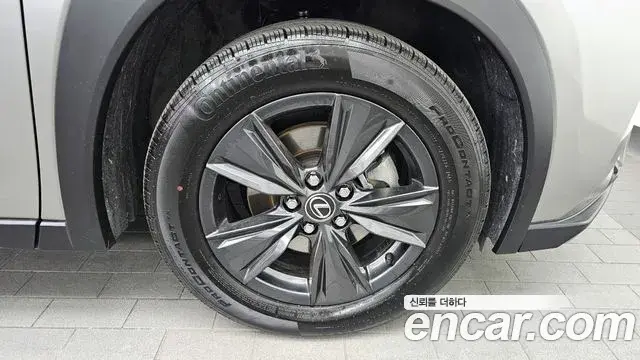 Lexus UX300h 2025 — Photo 5/20