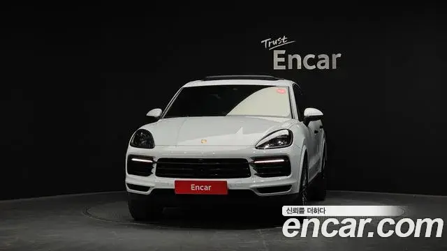Porsche Cayenne 2019 — ფოტო 11/20