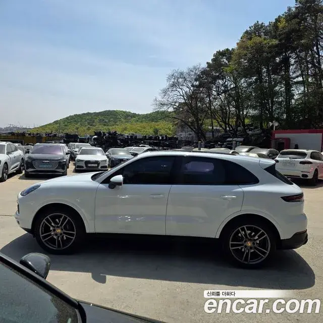 Porsche Cayenne 2023 — Photo 4/20