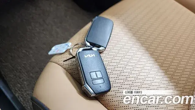 Kia Carnival 2021 — ფოტო 11/20