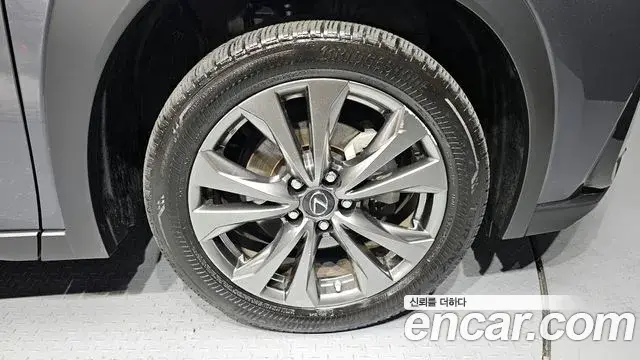Lexus UX250h 2023 — ფოტო 15/30