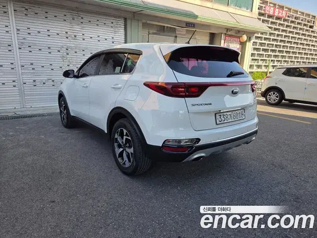 Kia Sportage The Bold 2019 — Фото 3/19