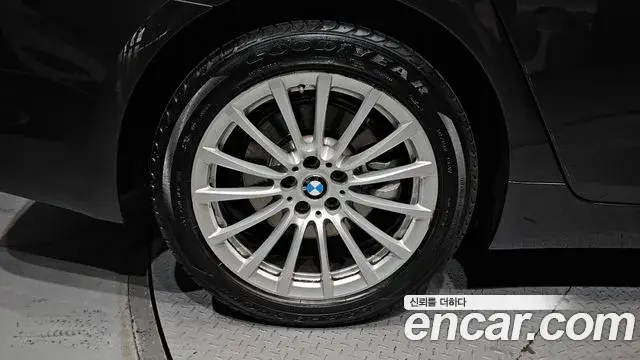 BMW 5 Series 2019 — ფოტო 7/31