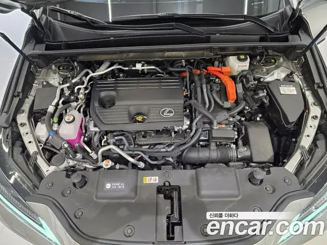 Lexus NX450h+ 2025 — Photo 12/16