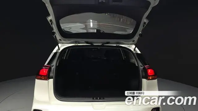 Kia Niro 2020 — ფოტო 10/30