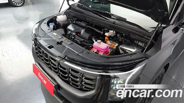 Kia Carnival 2024 — ფოტო 15/20