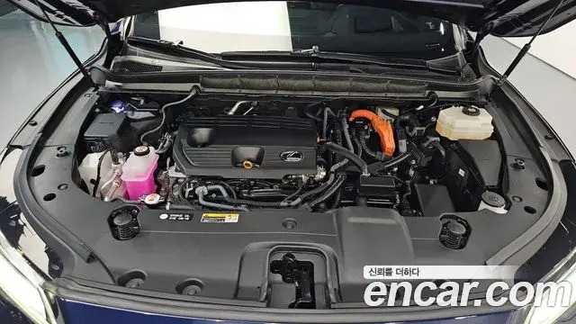 Lexus RX350h 2023 — Photo 35/43