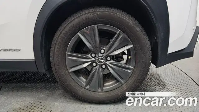 Lexus UX250h 2019 — Photo 12/32