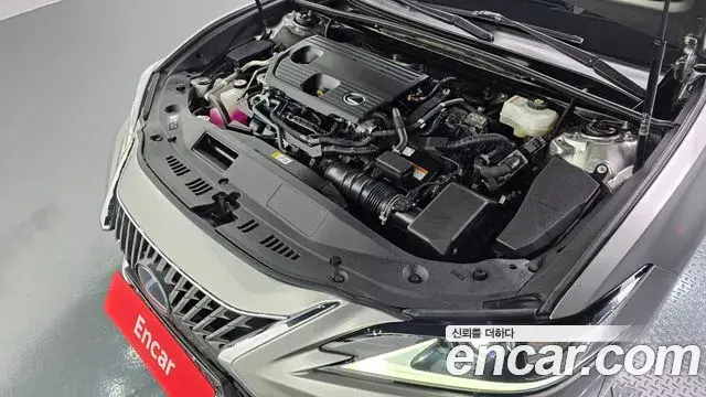 Lexus ES300h 2021 — Şəkil 6/20