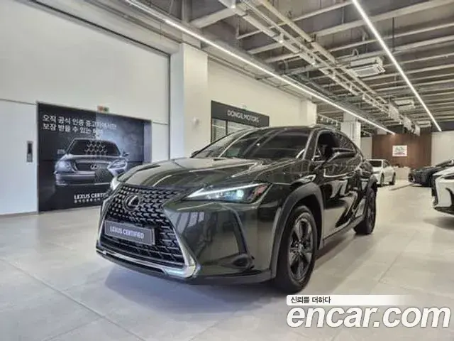 Lexus UX300h 2025 — ფოტო 6/19