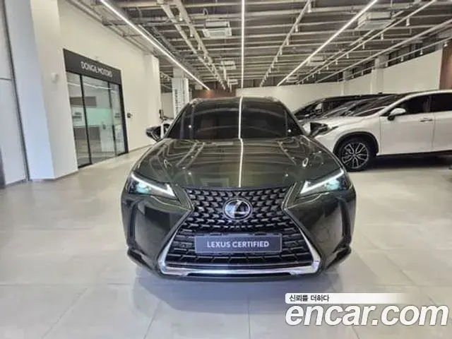 Lexus UX300h 2025 — ფოტო 16/19