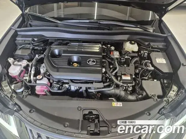 Lexus UX300h 2025 — ფოტო 10/19