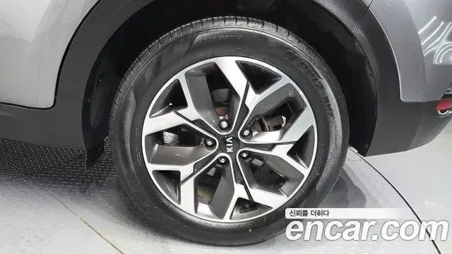 Kia Sportage The Bold 2019 — Фото 5/20