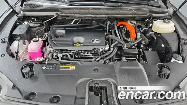 Lexus RX350h 2024 — Şəkil 1/20