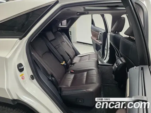 Lexus RX450h 2019 — ფოტო 8/20