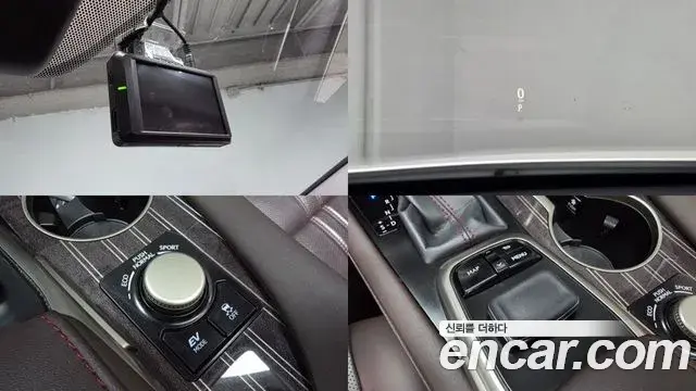 Lexus RX450h 2019 — ფოტო 20/20