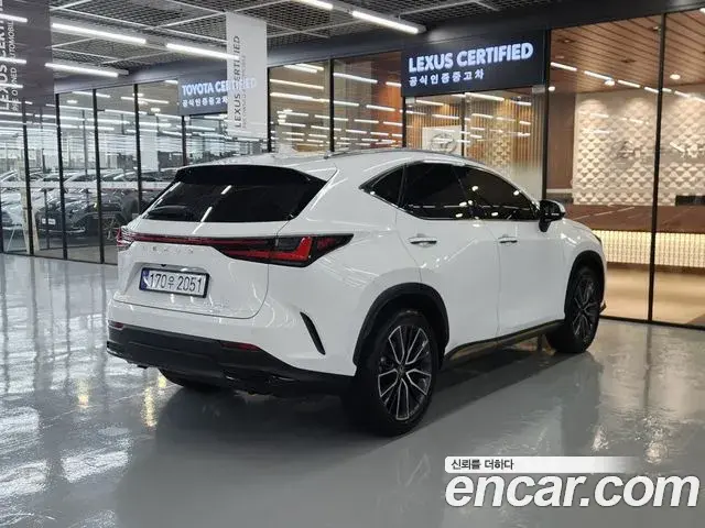 Lexus NX350h 2026 — Фото 1/20