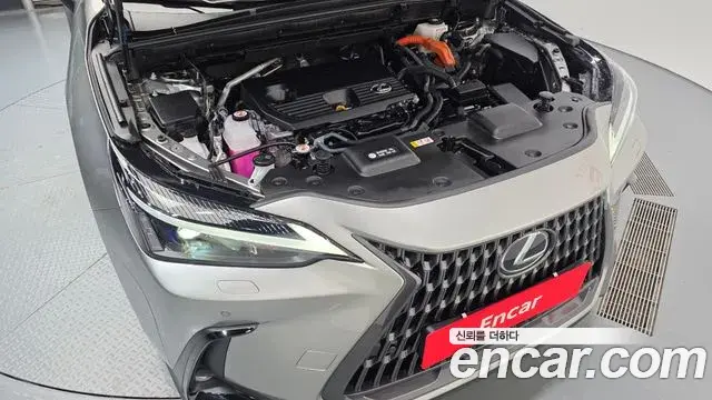 Lexus NX350h 2024 — Şəkil 18/32