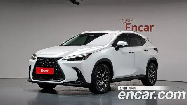 Lexus NX450h+ 2022 — Photo 15/38