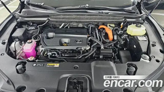 Lexus RX350h 2026 — Photo 5/20